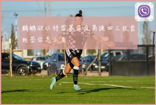 鹈鹕欲以特雷墨菲交易换回三枚首轮签你怎么看