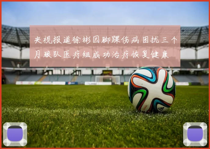 央视报道徐彬因脚踝伤病困扰三个月狼队医疗组成功治疗恢复健康